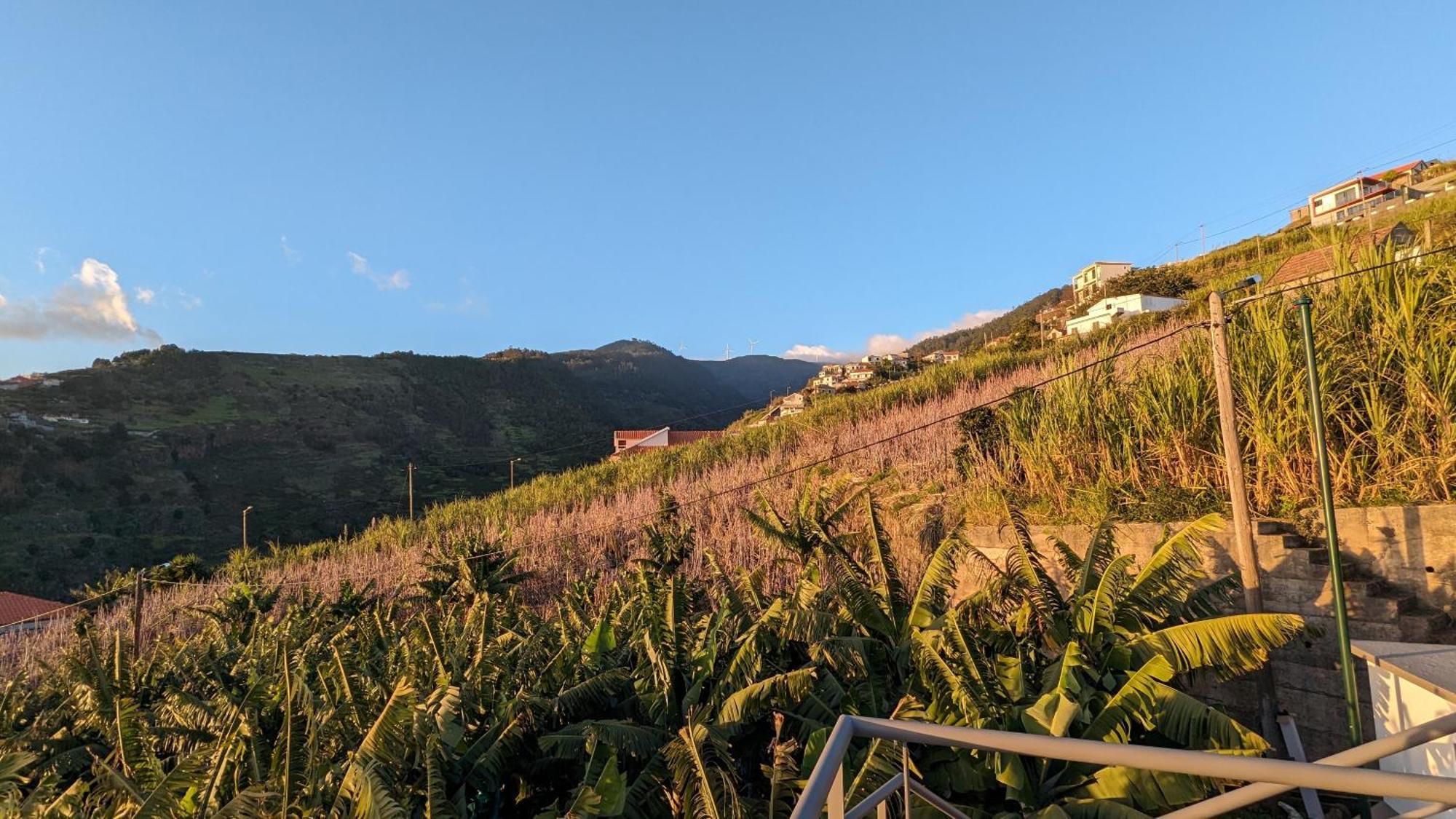 Banana Tree House Holiday home Ponta do Sol (Madeira)